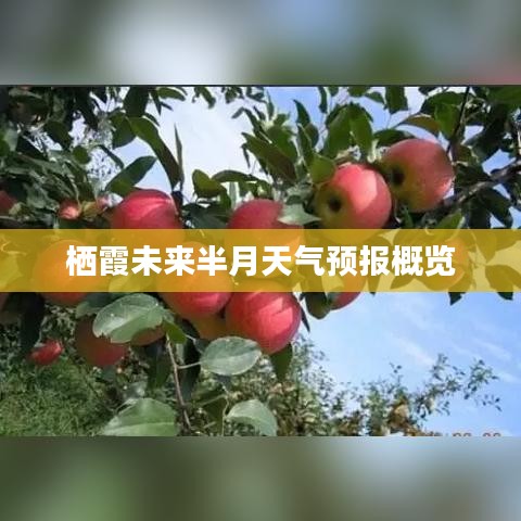栖霞未来半月天气预报概览