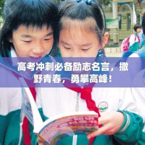 高考冲刺必备励志名言,撒野青春,勇攀高峰!