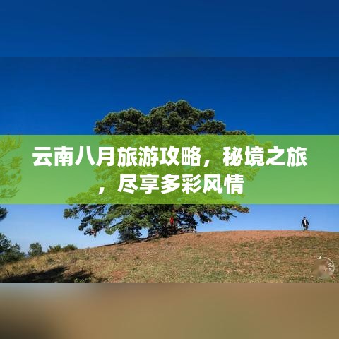 云南八月旅游攻略,秘境之旅,尽享多彩风情