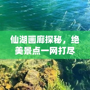 仙湖画廊探秘,绝美景点一网打尽,旅游攻略大揭秘!