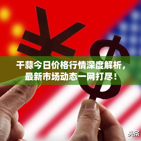 干蒜今日价格行情深度解析,最新市场动态一网打尽!