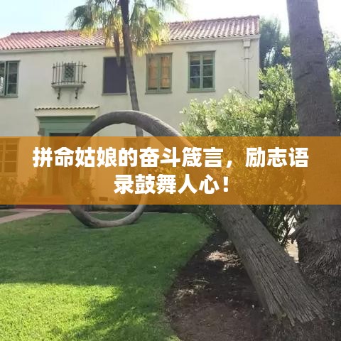 拼命姑娘的奋斗箴言,励志语录鼓舞人心!