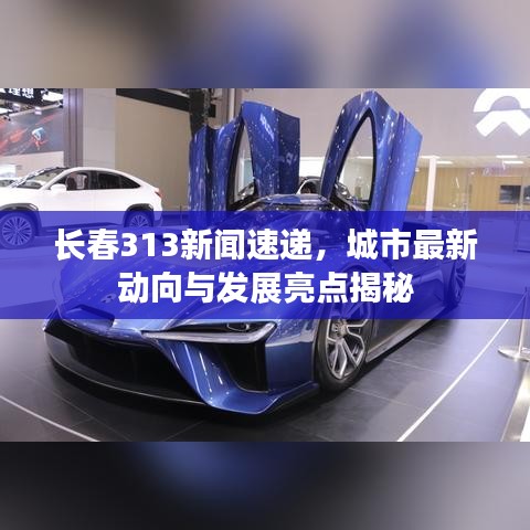 长春313新闻速递,城市最新动向与发展亮点揭秘