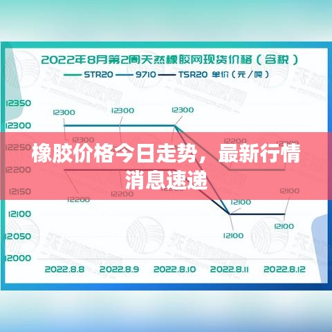 橡胶价格今日走势,最新行情消息速递