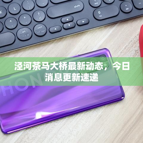 泾河茶马大桥最新动态,今日消息更新速递