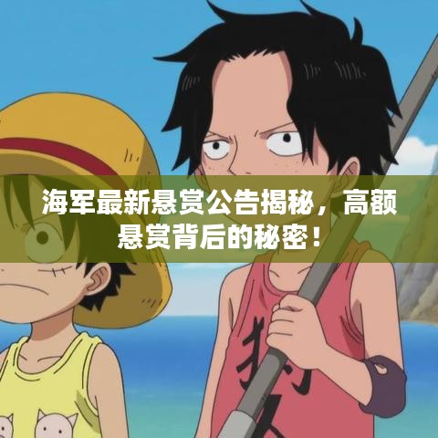 海军最新悬赏公告揭秘,高额悬赏背后的秘密!