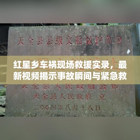 红星乡车祸现场救援实录,最新视频揭示事故瞬间与紧急救援过程