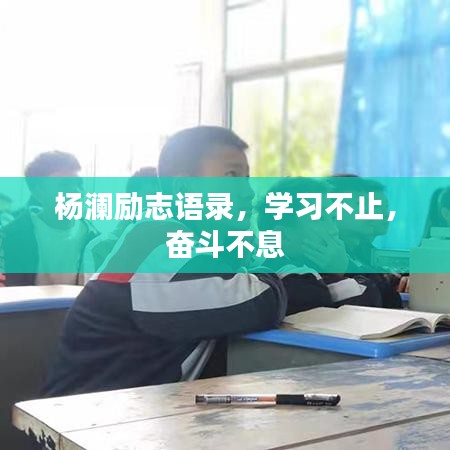 杨澜励志语录,学习不止,奋斗不息