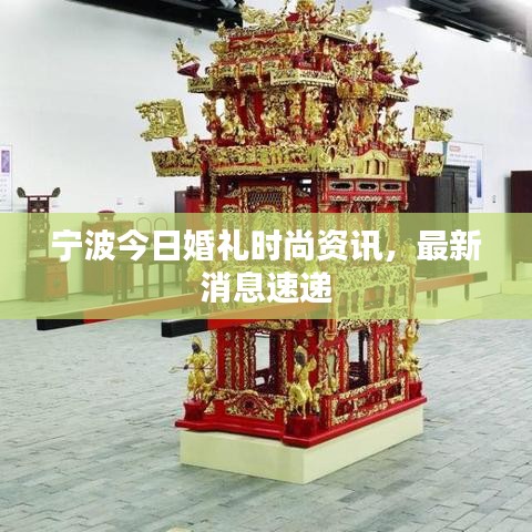宁波今日婚礼时尚资讯,最新消息速递