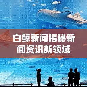 白鲸新闻揭秘新闻资讯新领域，今日头条引领探索潮流