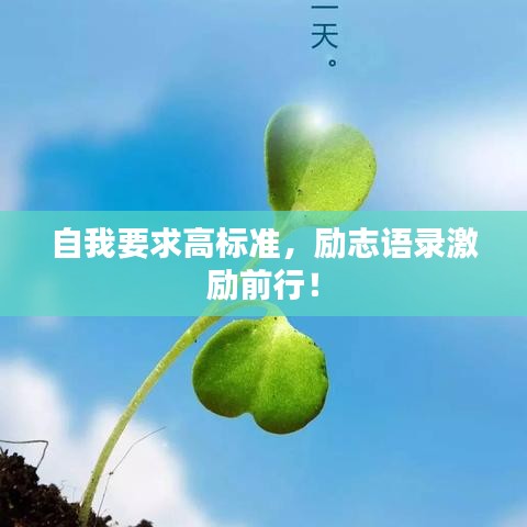 自我要求高标准,励志语录激励前行!