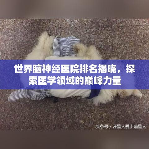 世界脑神经医院排名揭晓,探索医学领域的巅峰力量