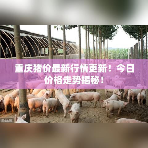 重庆猪价最新行情更新!今日价格走势揭秘!