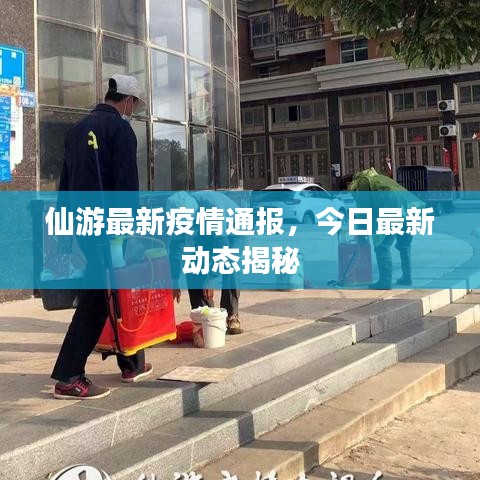仙游最新疫情通报,今日最新动态揭秘