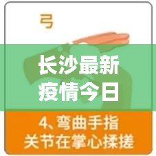 长沙最新疫情今日数据解析,新增情况一览