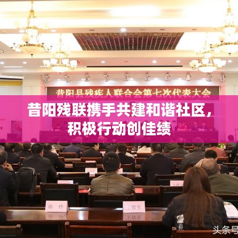 昔阳残联携手共建和谐社区，积极行动创佳绩