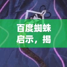 百度蜘蛛启示,揭开词汇奥秘的组词之旅