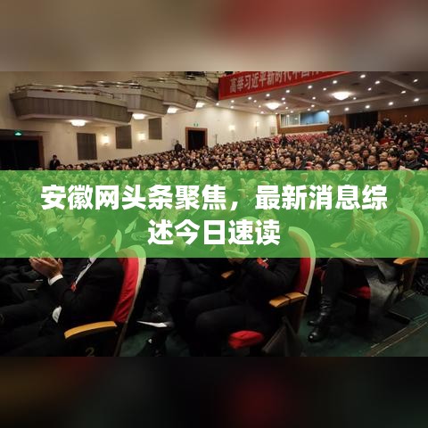 安徽网头条聚焦,最新消息综述今日速读