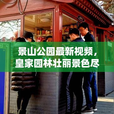 景山公园最新视频,皇家园林壮丽景色尽收眼底