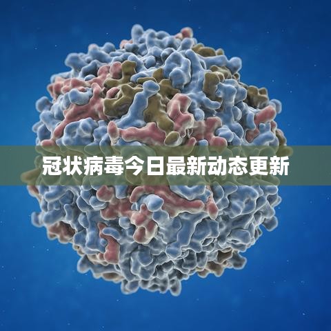 冠状病毒今日最新动态更新