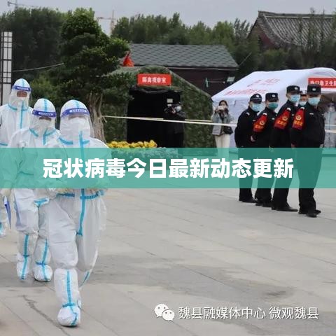 冠状病毒今日最新动态更新