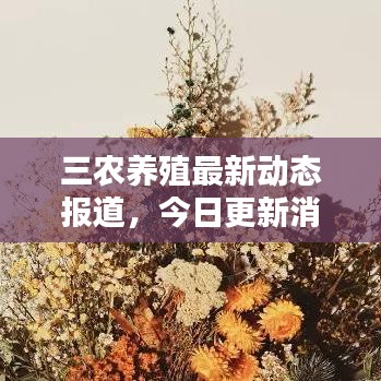 三农养殖最新动态报道,今日更新消息汇总