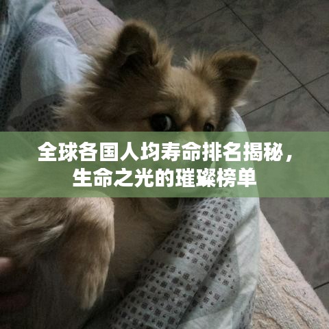 全球各国人均寿命排名揭秘,生命之光的璀璨榜单