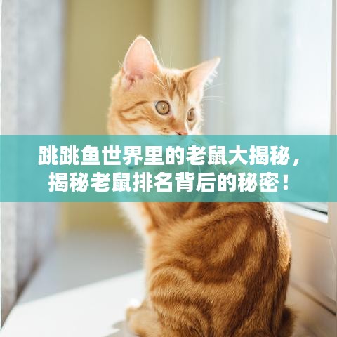 贵不期骄 第4页