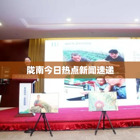 陇南今日热点新闻速递