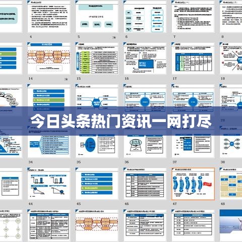 今日头条热门资讯一网打尽