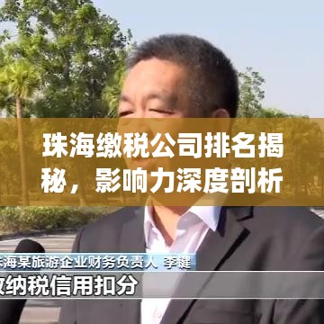 珠海缴税公司排名揭秘,影响力深度剖析