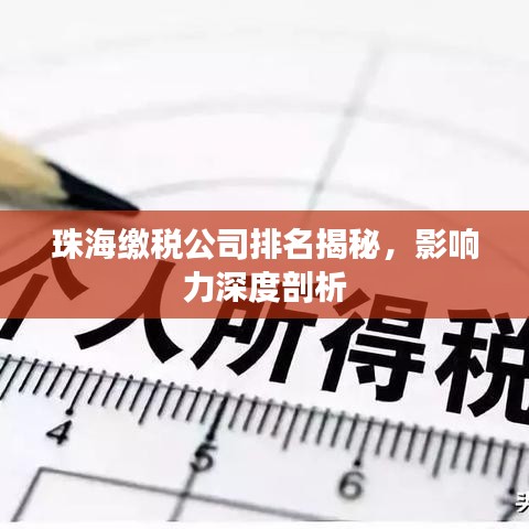 珠海缴税公司排名揭秘,影响力深度剖析