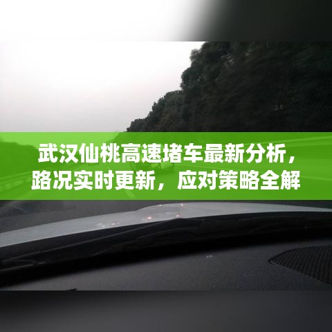 武汉仙桃高速堵车最新分析,路况实时更新,应对策略全解读