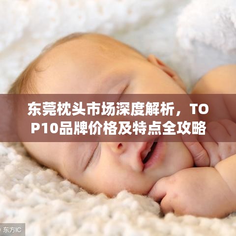 东莞枕头市场深度解析,TOP10品牌价格及特点全攻略