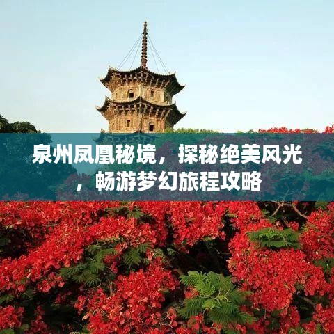 泉州凤凰秘境,探秘绝美风光,畅游梦幻旅程攻略