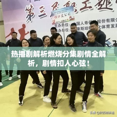 热播剧解析燃烧分集剧情全解析,剧情扣人心弦!