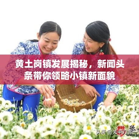 黄土岗镇发展揭秘,新闻头条带你领略小镇新面貌