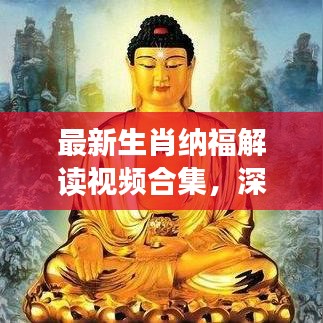 最新生肖纳福解读视频合集,深度探索生肖文化的神秘内涵与福运寓意