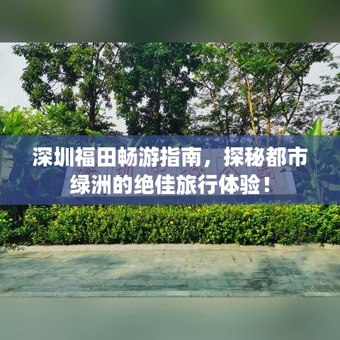 深圳福田畅游指南,探秘都市绿洲的绝佳旅行体验!