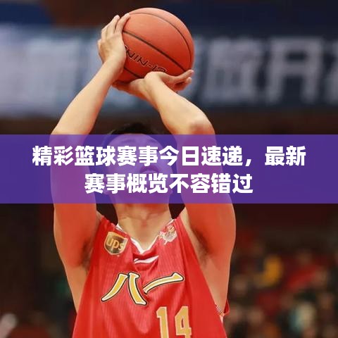 精彩篮球赛事今日速递,最新赛事概览不容错过