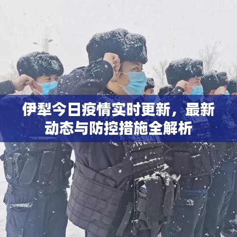 伊犁今日疫情实时更新,最新动态与防控措施全解析