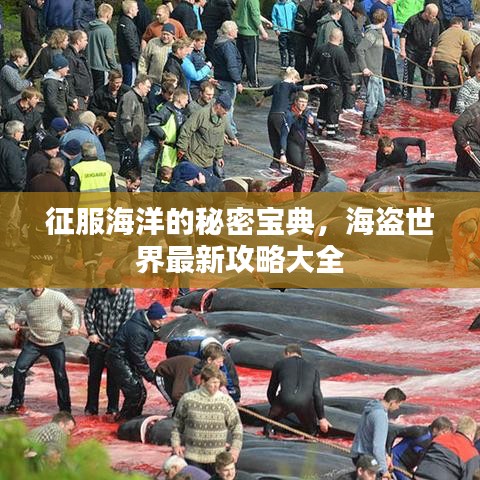 征服海洋的秘密宝典，海盗世界最新攻略大全