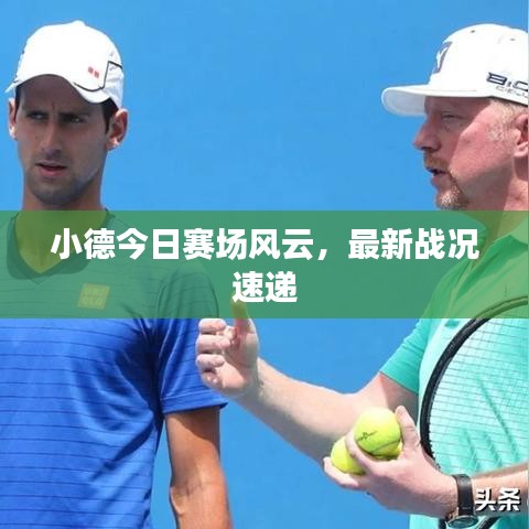 小德今日赛场风云,最新战况速递