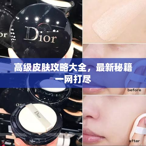 高级皮肤攻略大全,最新秘籍一网打尽