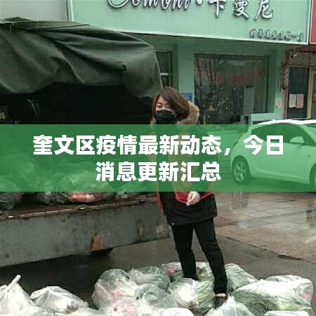 奎文区疫情最新动态,今日消息更新汇总