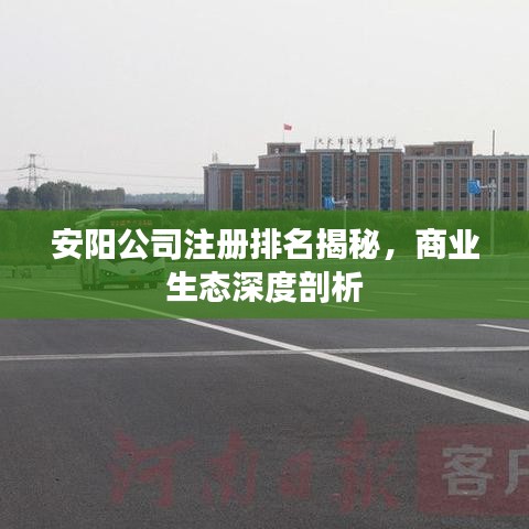 安阳公司注册排名揭秘,商业生态深度剖析