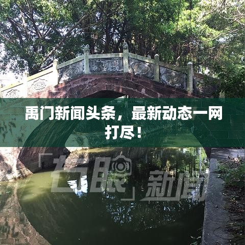 禹门新闻头条,最新动态一网打尽!