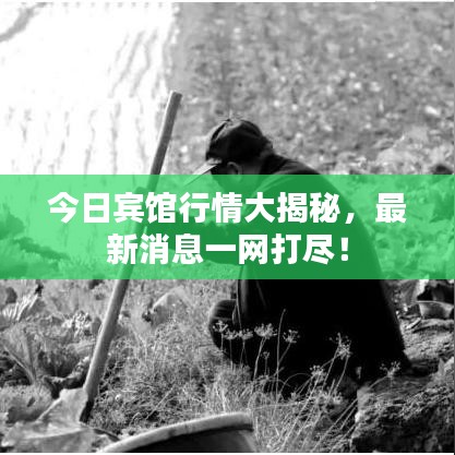 今日宾馆行情大揭秘,最新消息一网打尽!