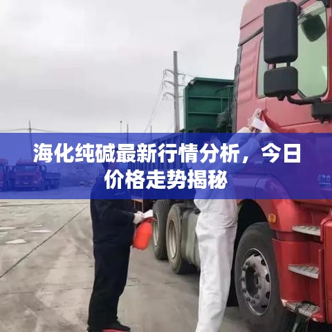 海化纯碱最新行情分析,今日价格走势揭秘