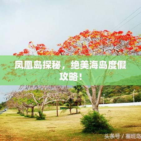 凤凰岛探秘,绝美海岛度假攻略!